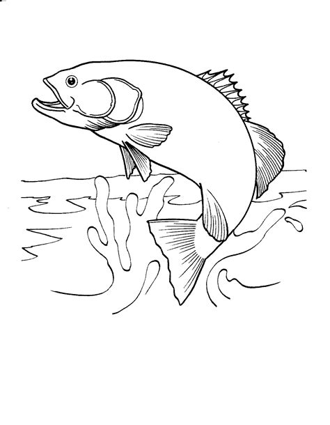 realistic fish coloring pages|Fish Coloring Pages: Free, Printable, and Fun for Kids!.